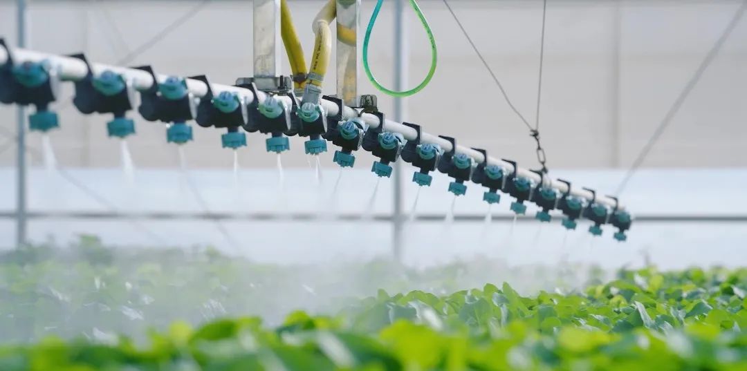 捕鱼游戏在线玩