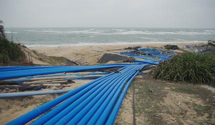 捕鱼游戏在线玩
助推海南特色农业高质量发展